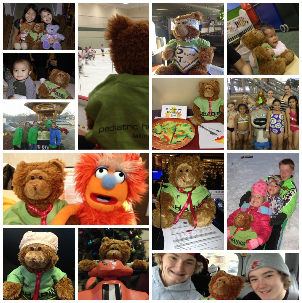 ohs, pediatric home service, novemBEAR, thrive, childrens lighthouse of MN, respite home, charity, sharing care 