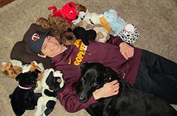 Louie with the collection of stuffed puppies he received during his various hospital stays