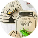 A buggy valentine's day for non-edible ideas