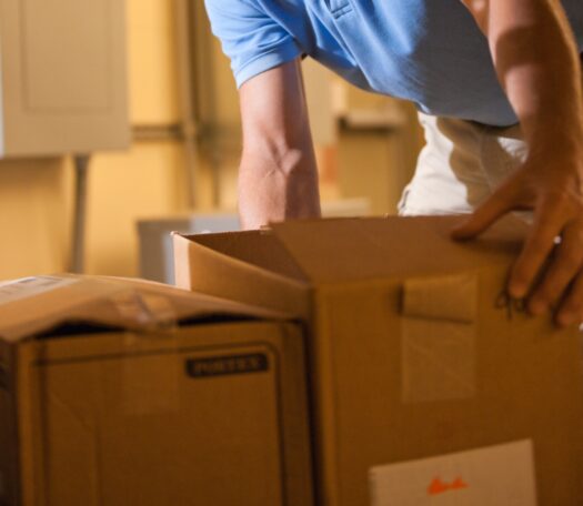 T6k1637 Copy 1 525x456